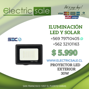 Proyector Led 30W luz fría